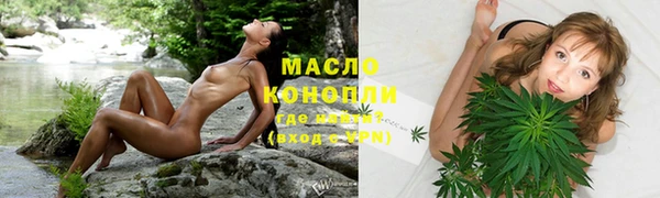 шишки Надым