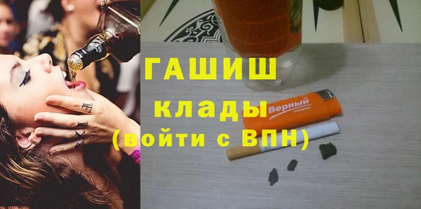 шишки Надым