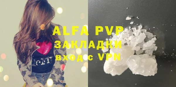 шишки Надым