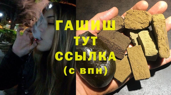 шишки Надым