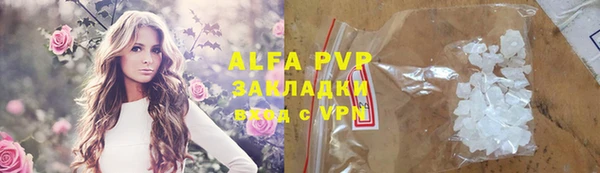 шишки Надым