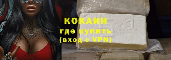 шишки Надым