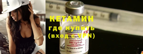 шишки Надым