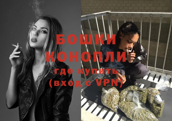 молекула духа Навашино