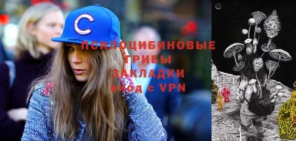 шишки Надым