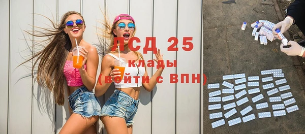 шишки Надым