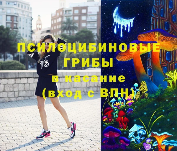 шишки Надым