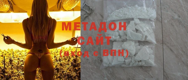 шишки Надым