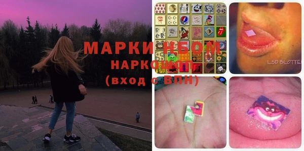 прущие грибы Калач