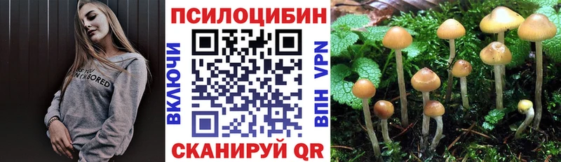 Псилоцибиновые грибы ЛСД  Пыталово 
